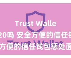 Trust Wallet支持TRC20吗 安全方便的信任钱包惩处面目